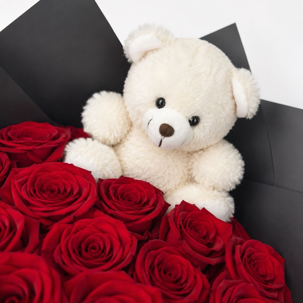 Peluche / doudou