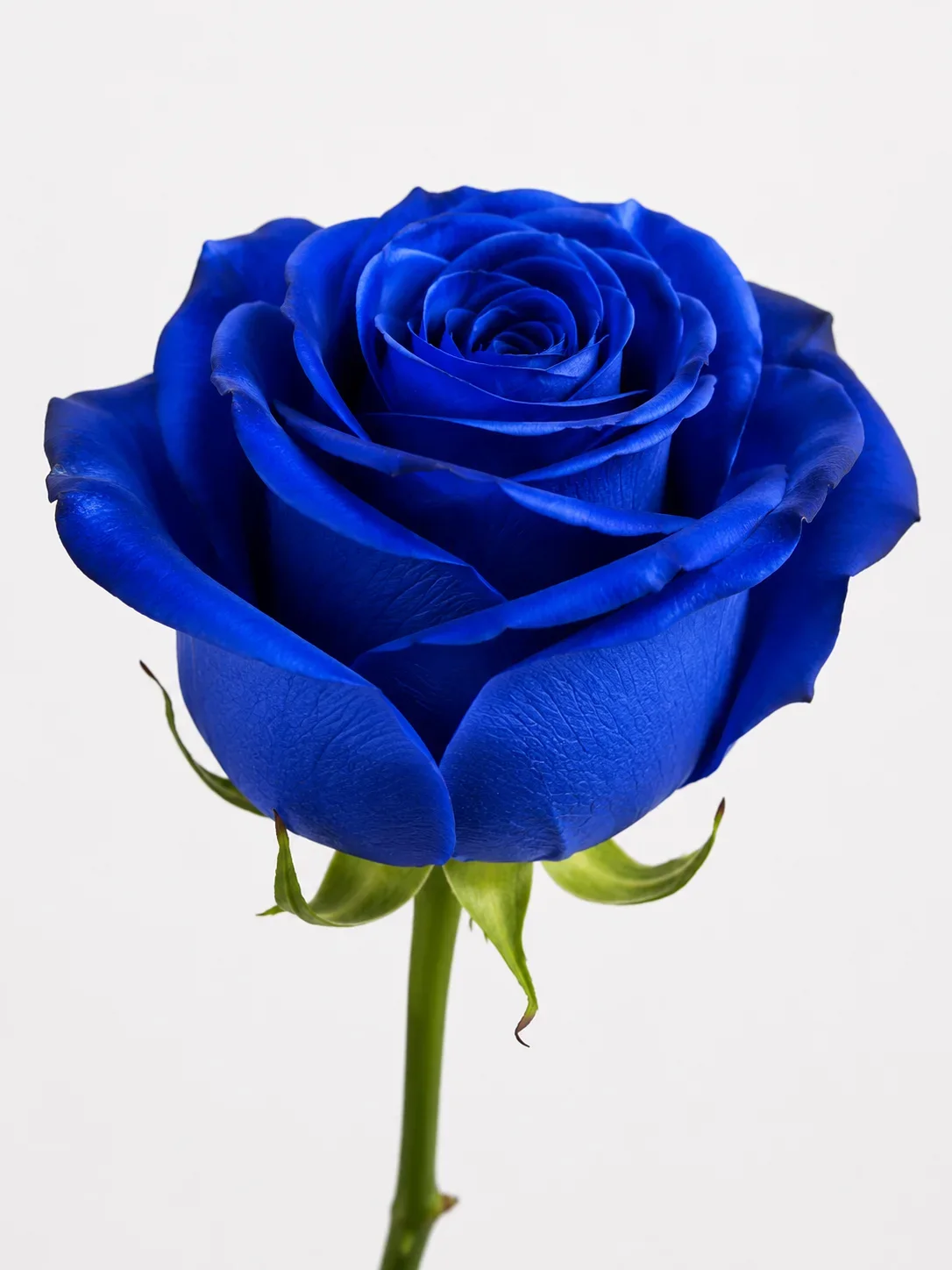 Blauw
